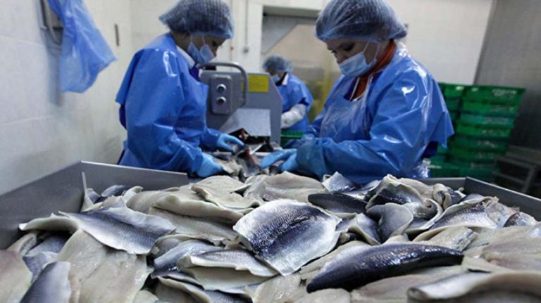 ТОО «TENGRY FISH» — переработка рыбы